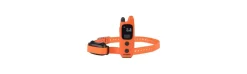 Collar de Adiestramiento ProHunt 600 + Mando