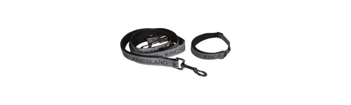 Collar y Correa para Perro Kingsland KLMacey