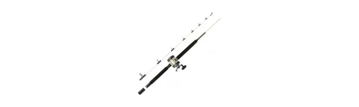 Combo Caña+Carrete Performance SW-Mitchell Sale