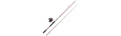 Combo Penn Fierce IV Labrax