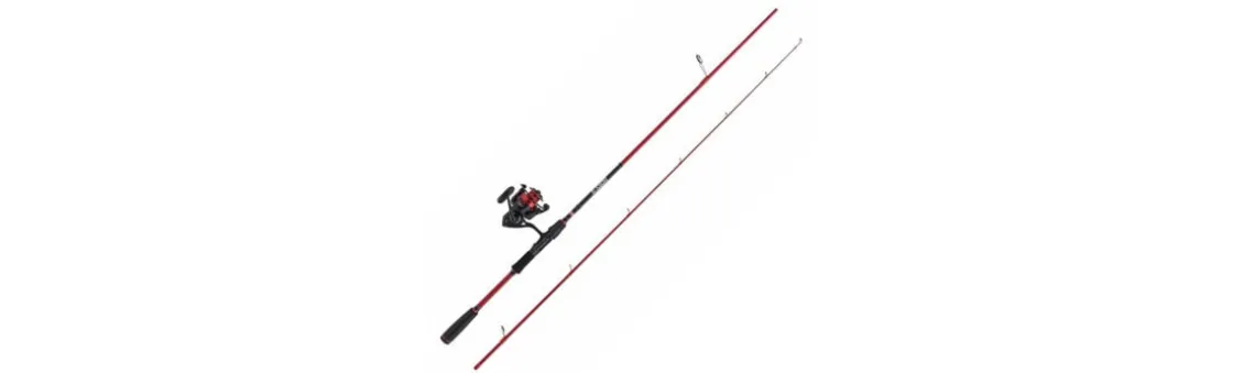 Combo Penn Fierce IV Labrax
