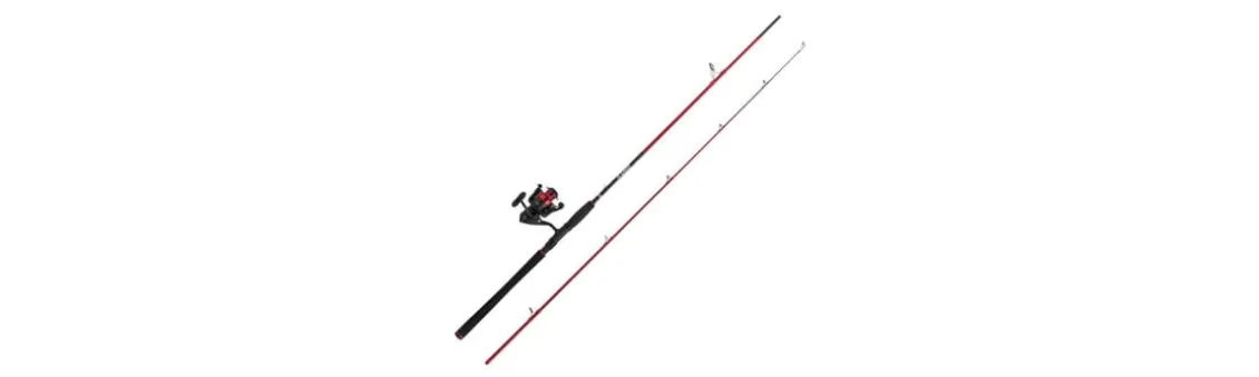 Combo Penn Fierce IV Spin