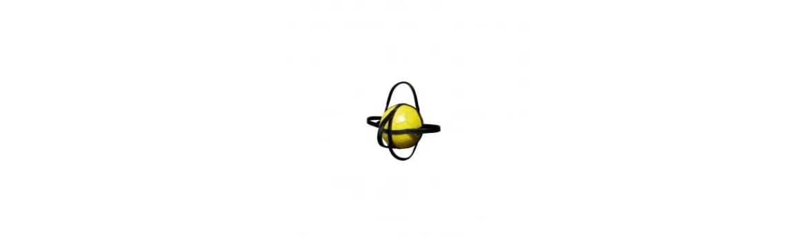 Correas Pelota-Norton Online
