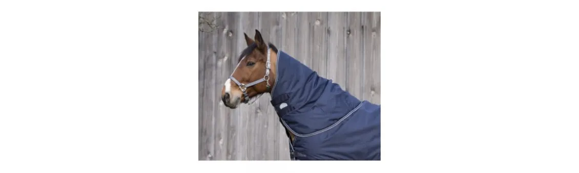 Cubrecuello EQUITHEME TYREX 600 D