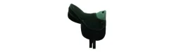 Equipo Completo Pony Status-Alvarez Best