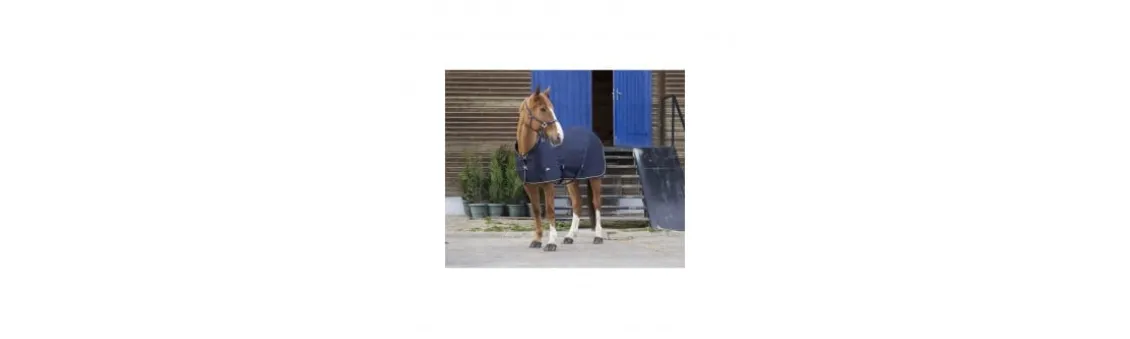 Manta Algodón Equi-Theme Chic