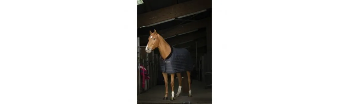 Manta de cuadra Equitheme Teddy