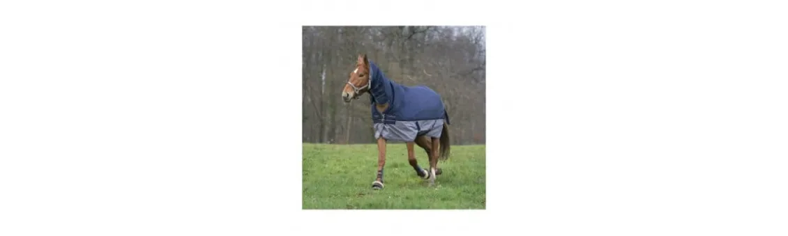 Manta Exterior Impermeable Equi-Theme Tyrex 600D Combo