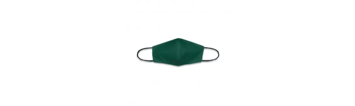 Mascarilla HOMOLOGADA REUTILIZABLE_Verde
