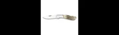 Navaja con Mango de Ciervo 7,7 cm-Albainox Discount
