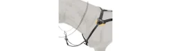Pechopetral Combinado 5-Puntos-Zaldi Online