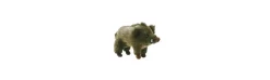 Peluche de Caza de Jabalí Parado-Alvarez Discount