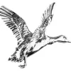 Pin Pato-Jack Pyke Sale