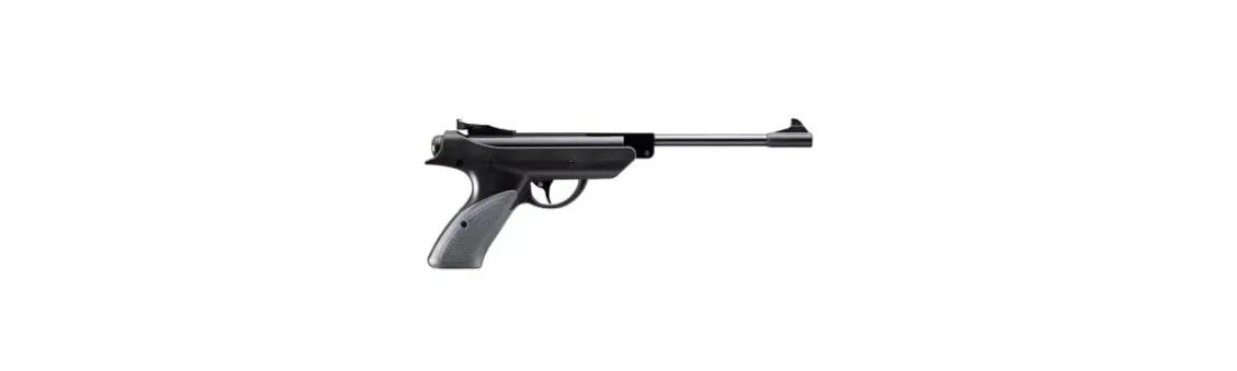 Pistola Snowpeak Zasdar SP500
