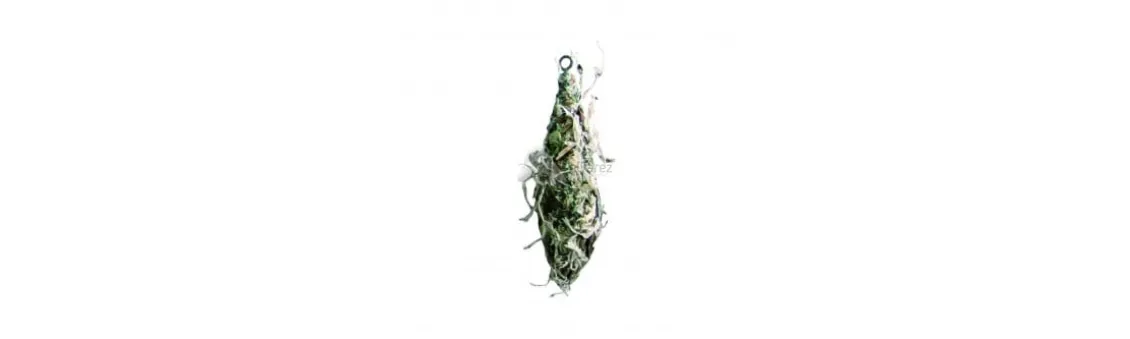 Plomos Especiales Carpa Camuflado Alga (25 uds.)
