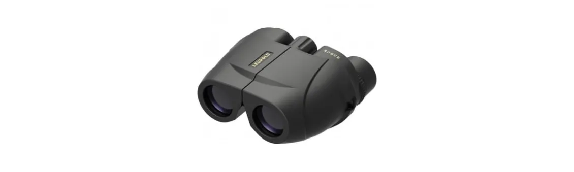 Prismáticos Leupold BX-1 Rogue Compact - 10x25
