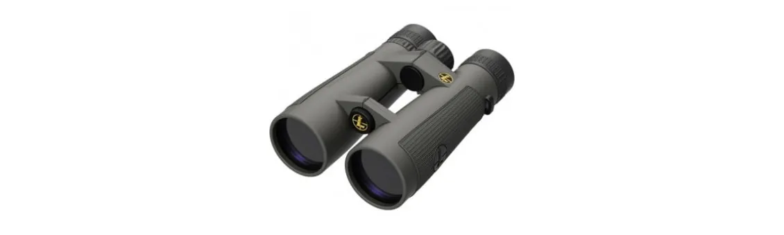 Prismáticos Leupold BX-5 Santiam HD - 10x50