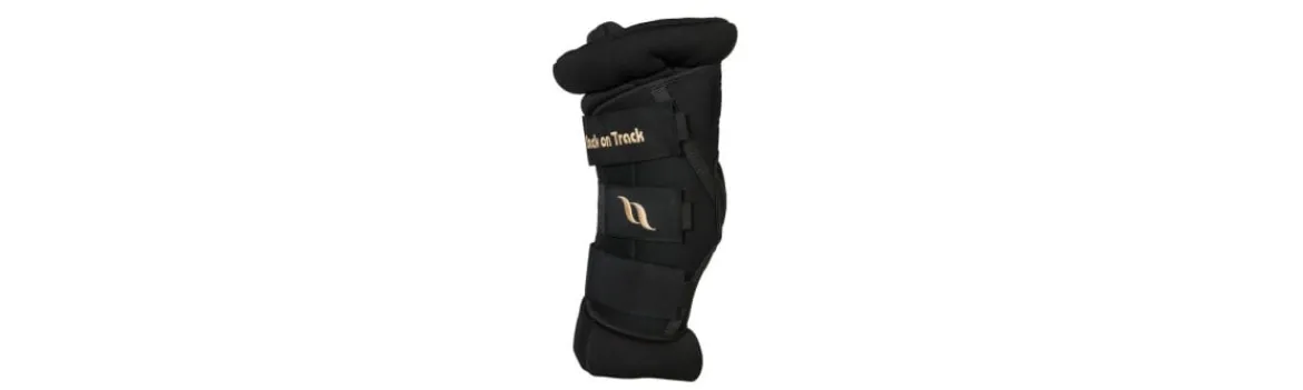 Protectores de Corvejón Royal Deluxe (Par)-Back on Track Online