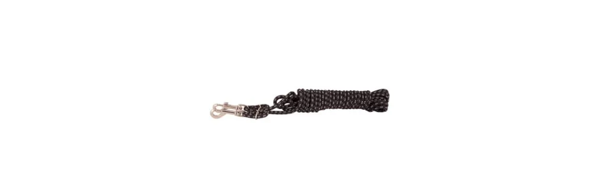 Ramal BR de Trabajo y Entrenamiento-BR Equestrian Hot