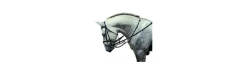 Riendas Ledering con Martingala