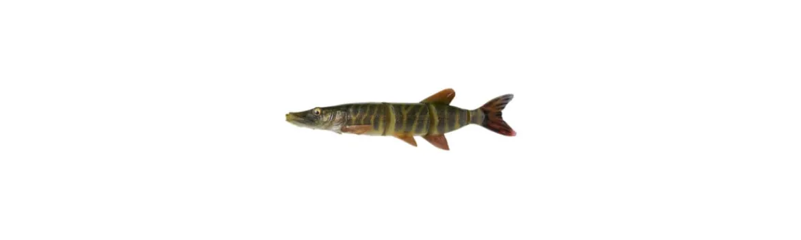 Señuelo 4D Line Thru Pike 25cm 105g Slow Sinking-Savage Gear New
