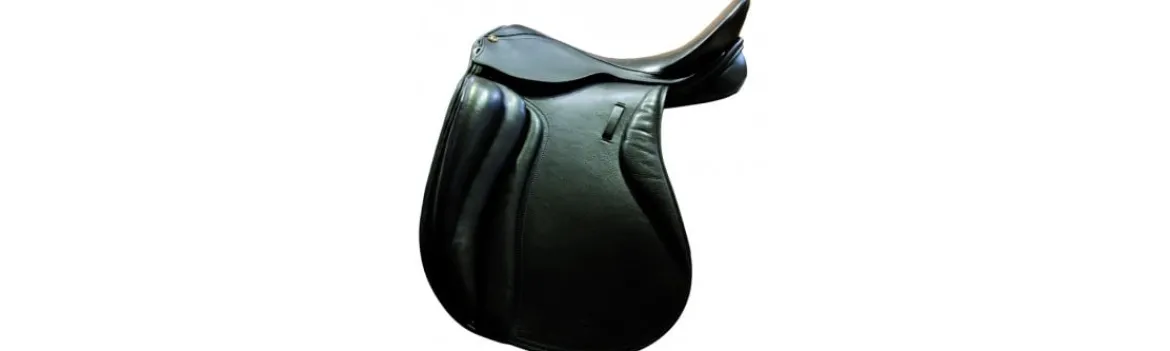 Silla de Doma Lestter-Alvarez Best