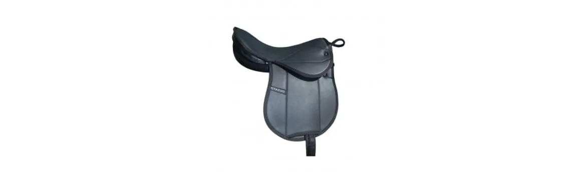 Silla de Uso General Status Pad Pony-Marjoman Hot